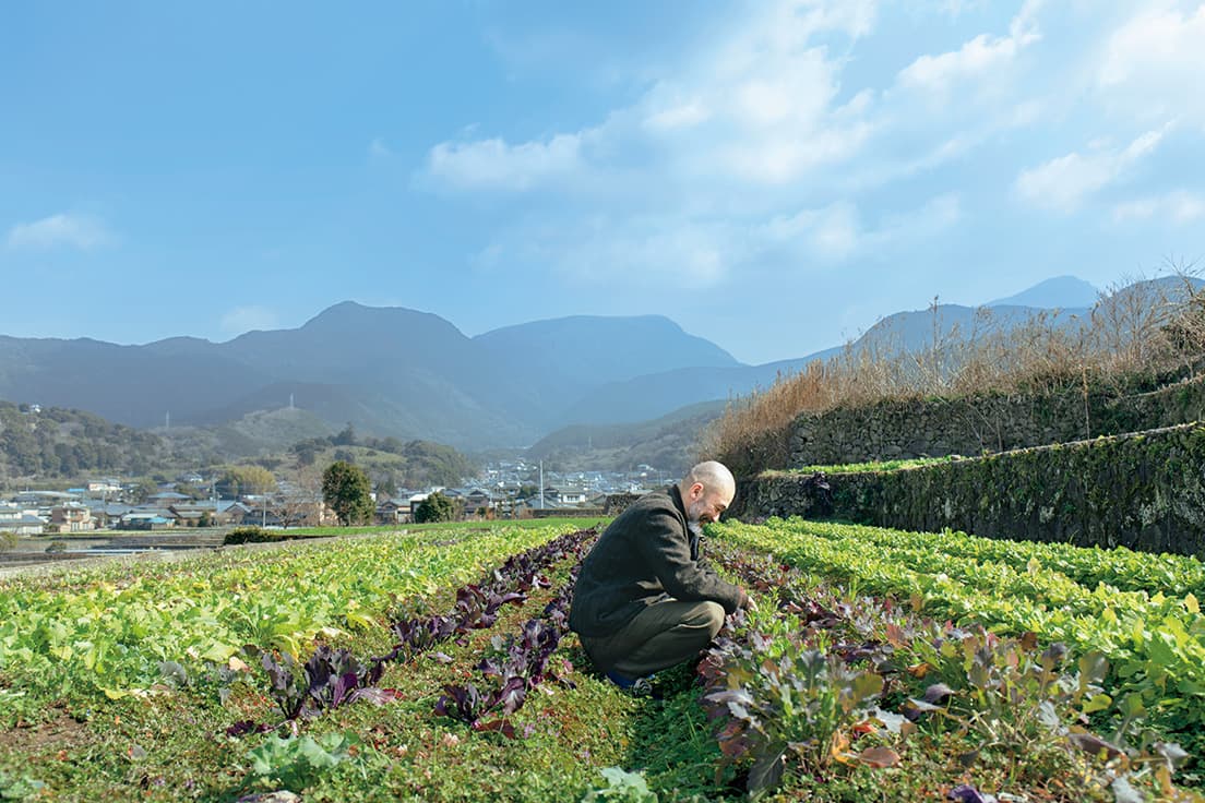 Vegetables
日々刻々変わる野菜たちの顔。土に触れると、料理も変わる。
右は、若き種採り農家の田中遼平さんの畑。雲仙小かぶ、大阪白菜など、在来種中心。
