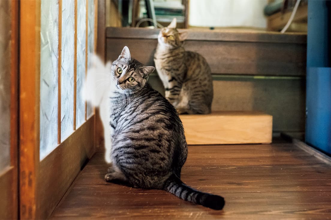 自由気ままな性格で、食に貪欲なひふみ。