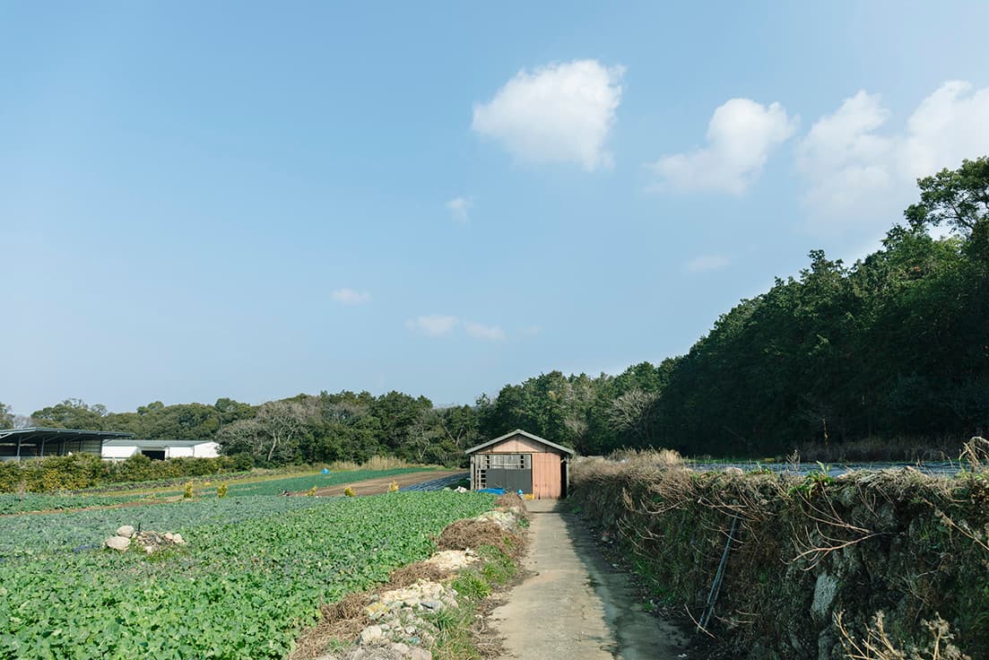 岩崎政利さんの畑を見学させていただく。