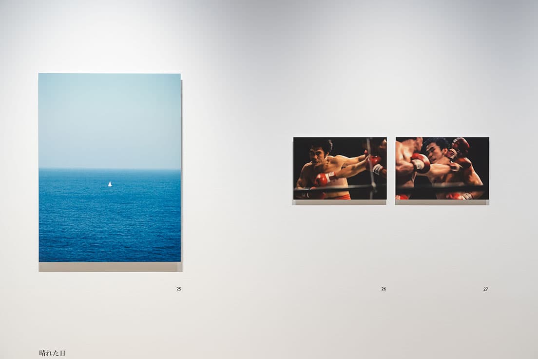 「晴れた日」シリーズ展示風景。
