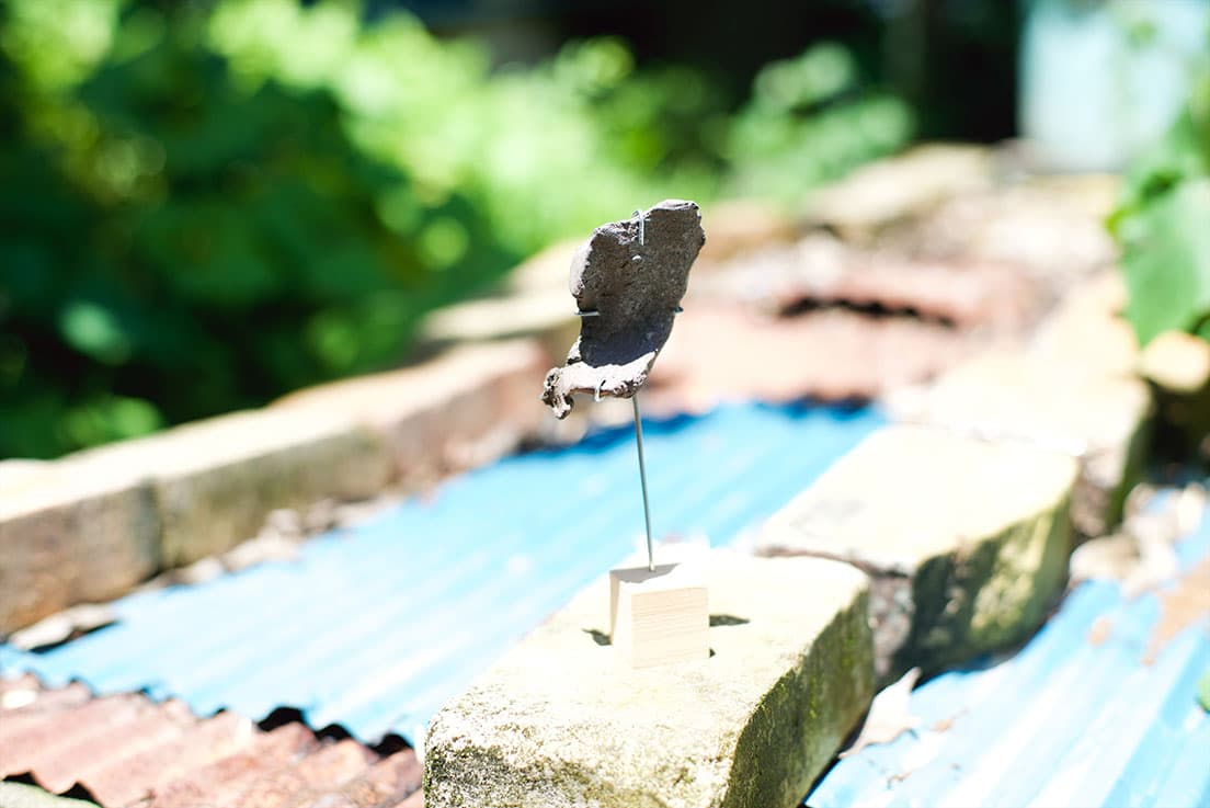 direction_Kyoji Takahashi , photo_Yosuke Morimoto