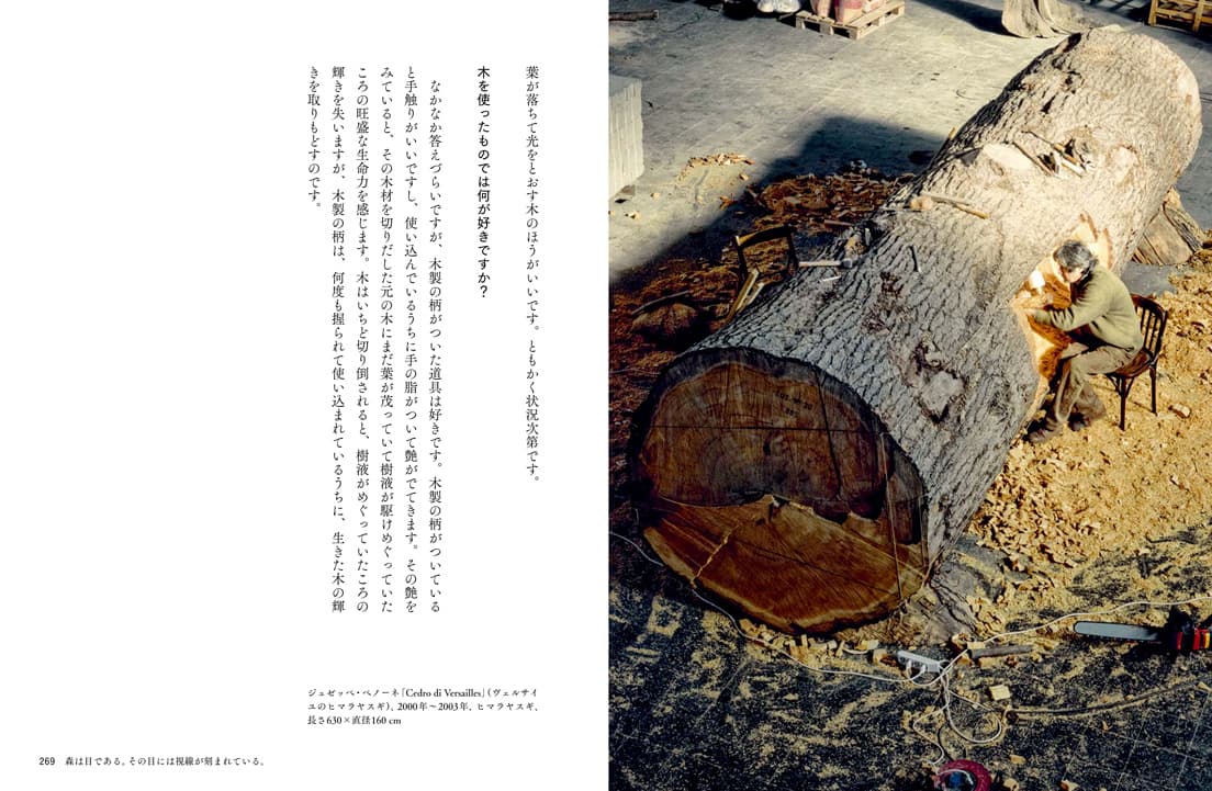 長さ6m超、直径160㎝ものヒマラヤスギの丸太から作品を削り出す彫刻家のジュゼッペ・ぺノーネ。
