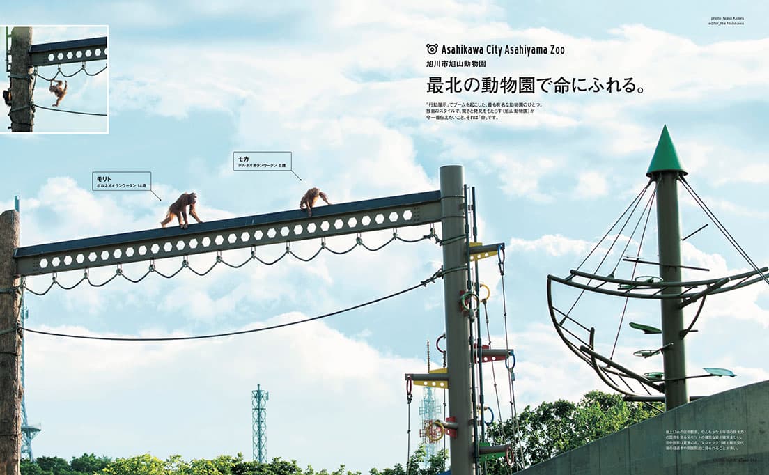 Casa BRUTUS特別編集『動物園と水族館。』発売中！