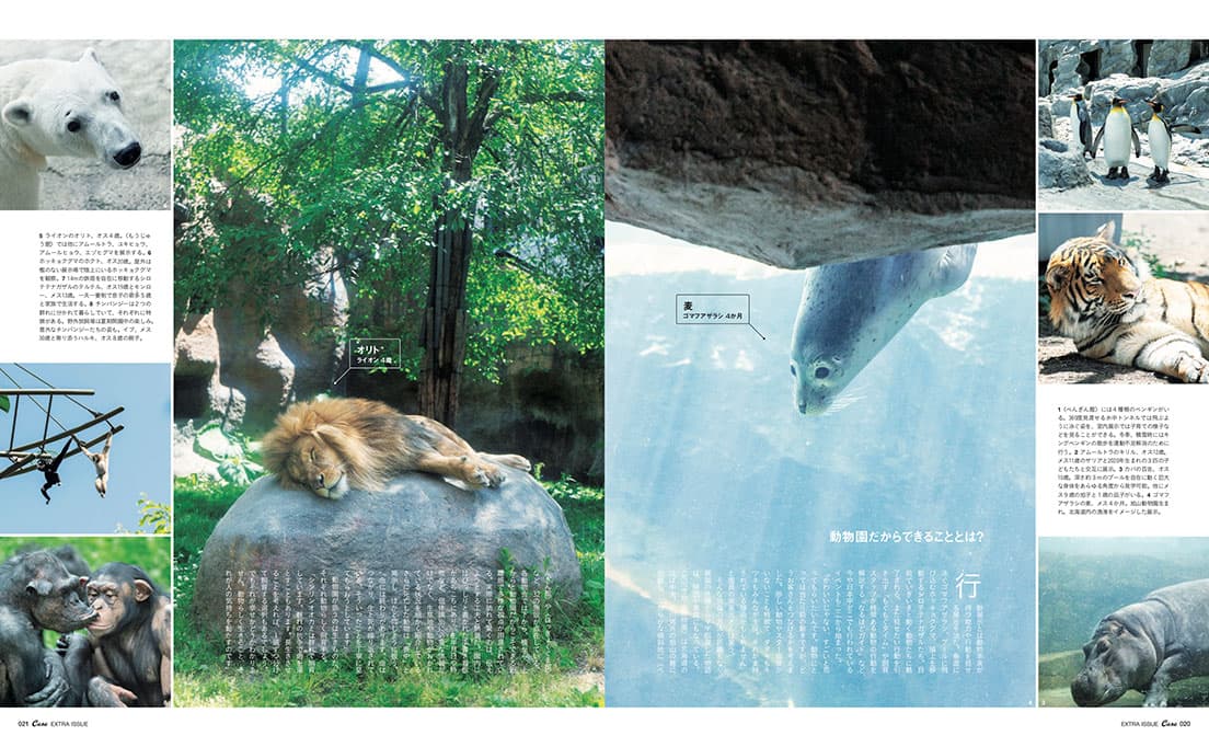 Casa BRUTUS特別編集『動物園と水族館。』発売中！