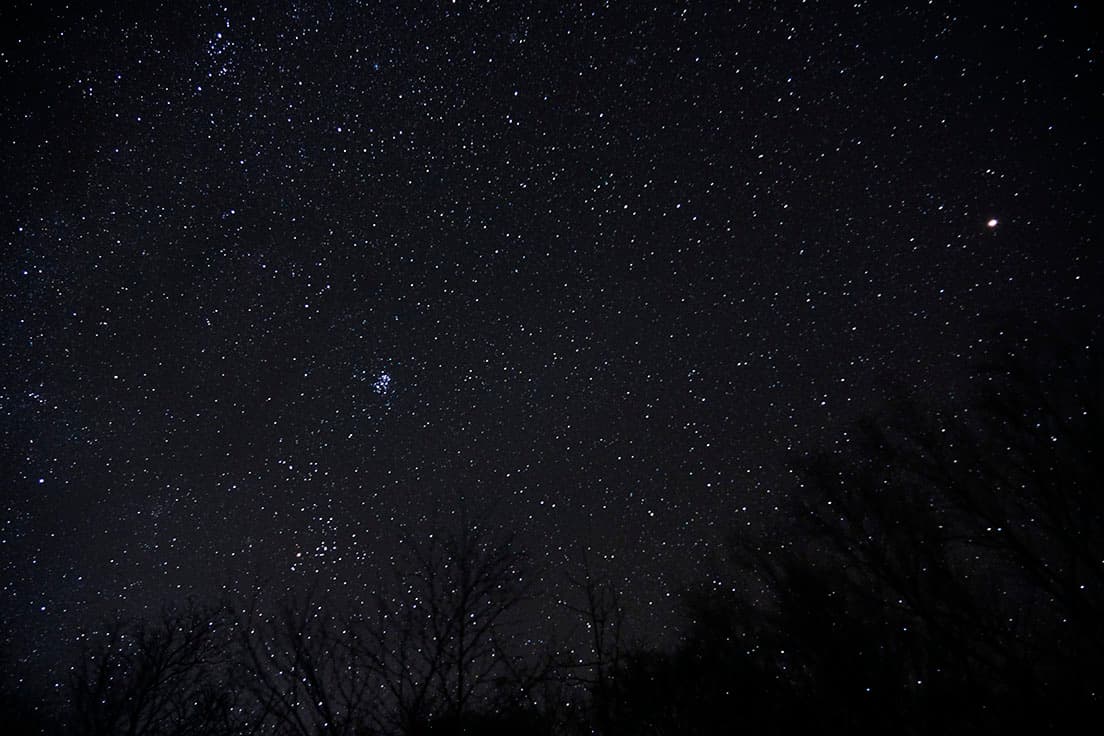 樹々の間から望む星空も絶景。ネイチャーガイドによる様々な星座や宇宙の物語が秀逸。
