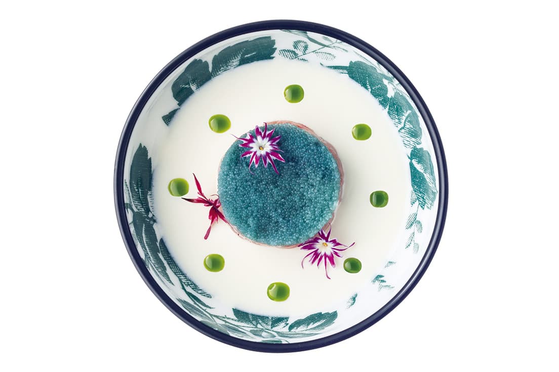 Panna cotta Yuzu sweet shrimps（パンナコッタ 柚子 甘エビ）　プーリア州の郷土料理にインスパイアされた前菜。パンナコッタに出汁で和えた甘エビの卵を合わせて。