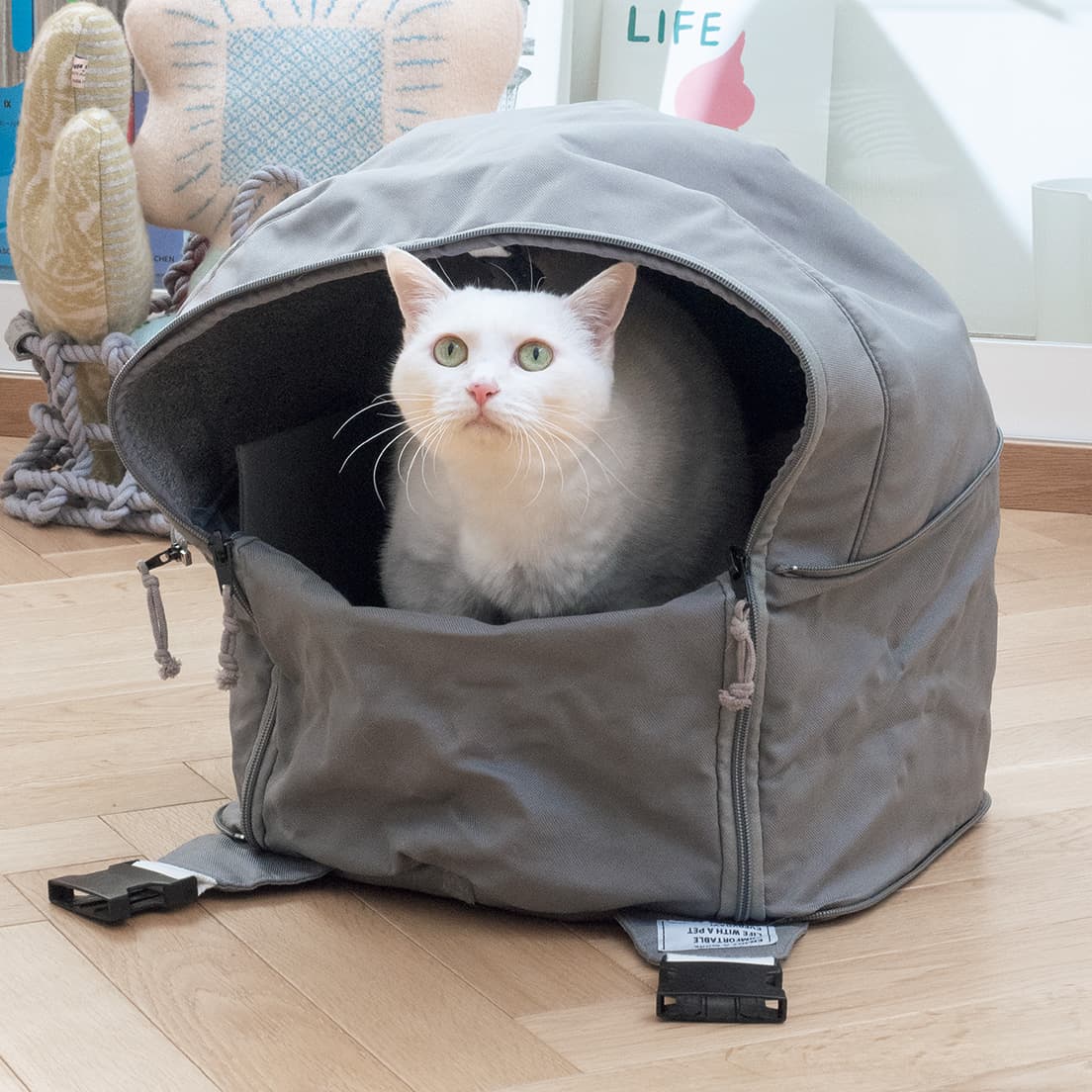 猫と暮らす中から生まれた、〈ima〉デザインのペットグッズ。