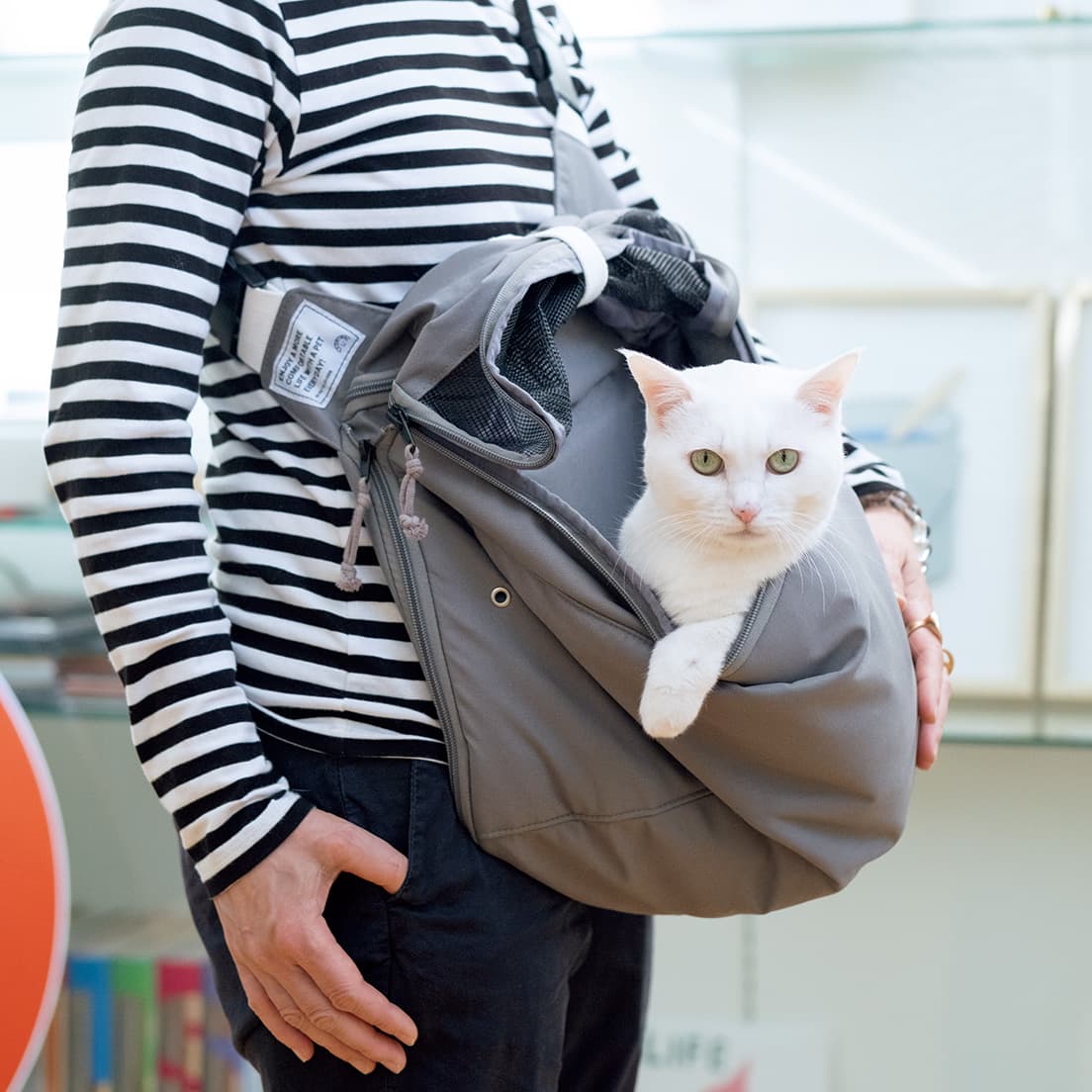 《テントスリング》猫や小型犬のお出かけやステイに。
外出用のスリングと、外出先でシェルターになるテントを一体化。よその動物と出会うきっかけにも、防災用にも。14,080円（リオニマルTEL 0120 559 553）。