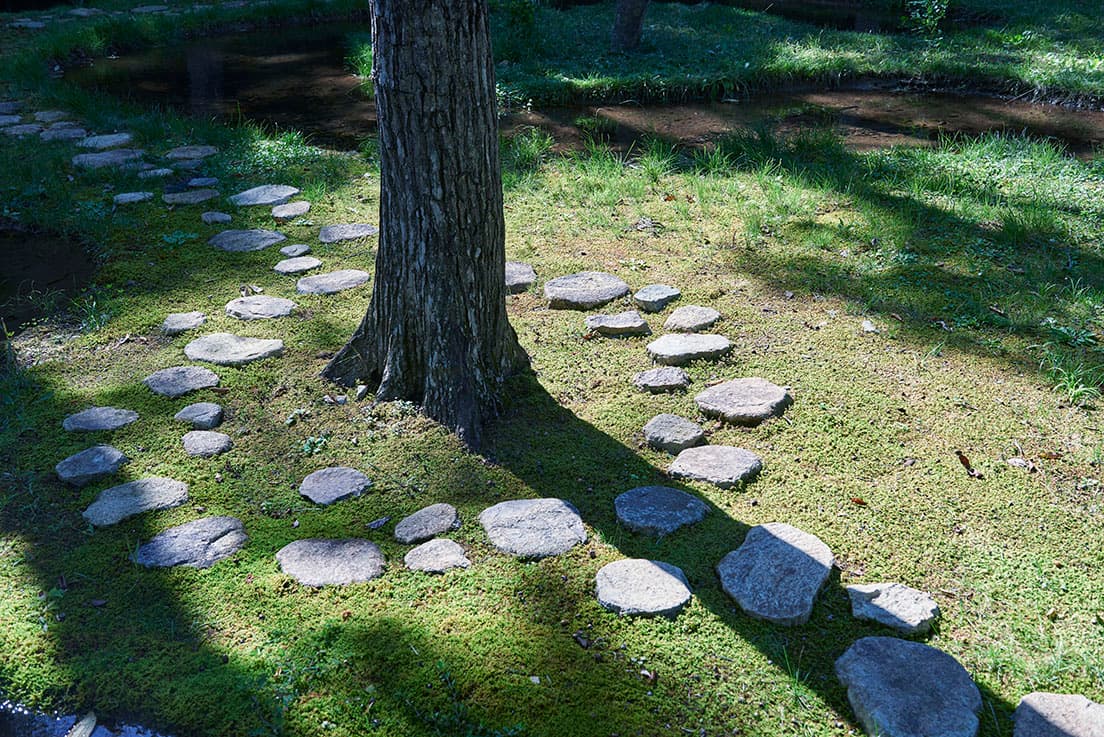 移植した樹木を囲むように配された飛び石。苔むすと日本庭園にも似た風景が現れる。