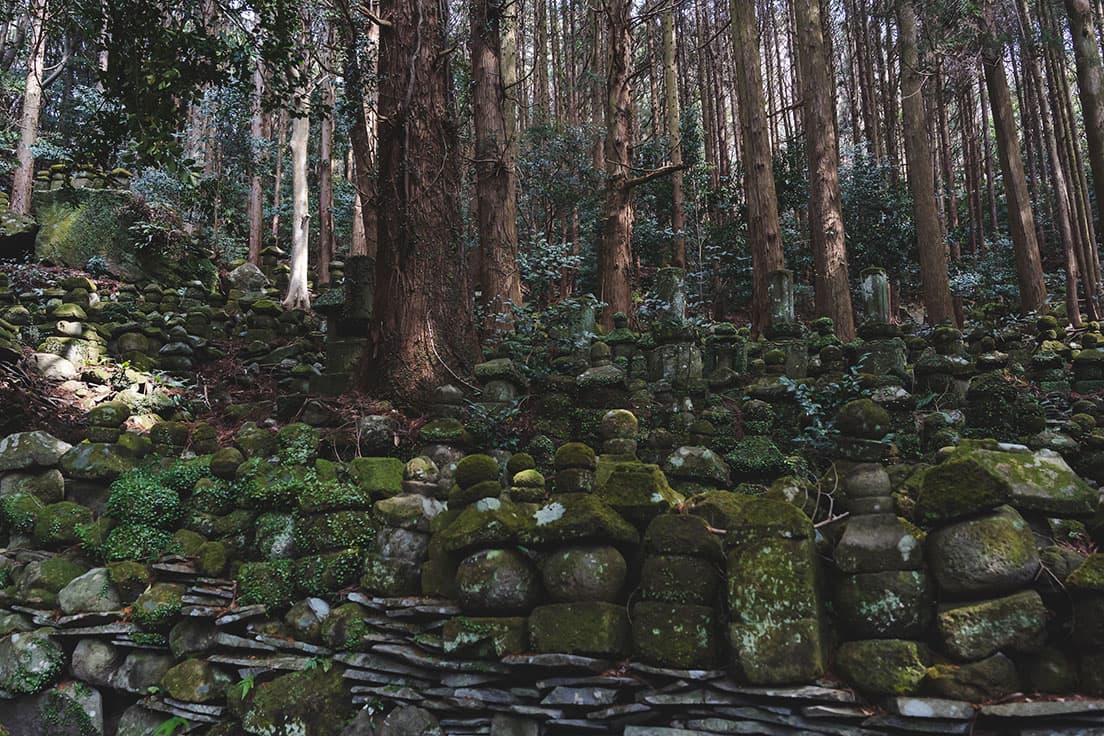 いつの頃にできたのかわからない苔むした石塔群。