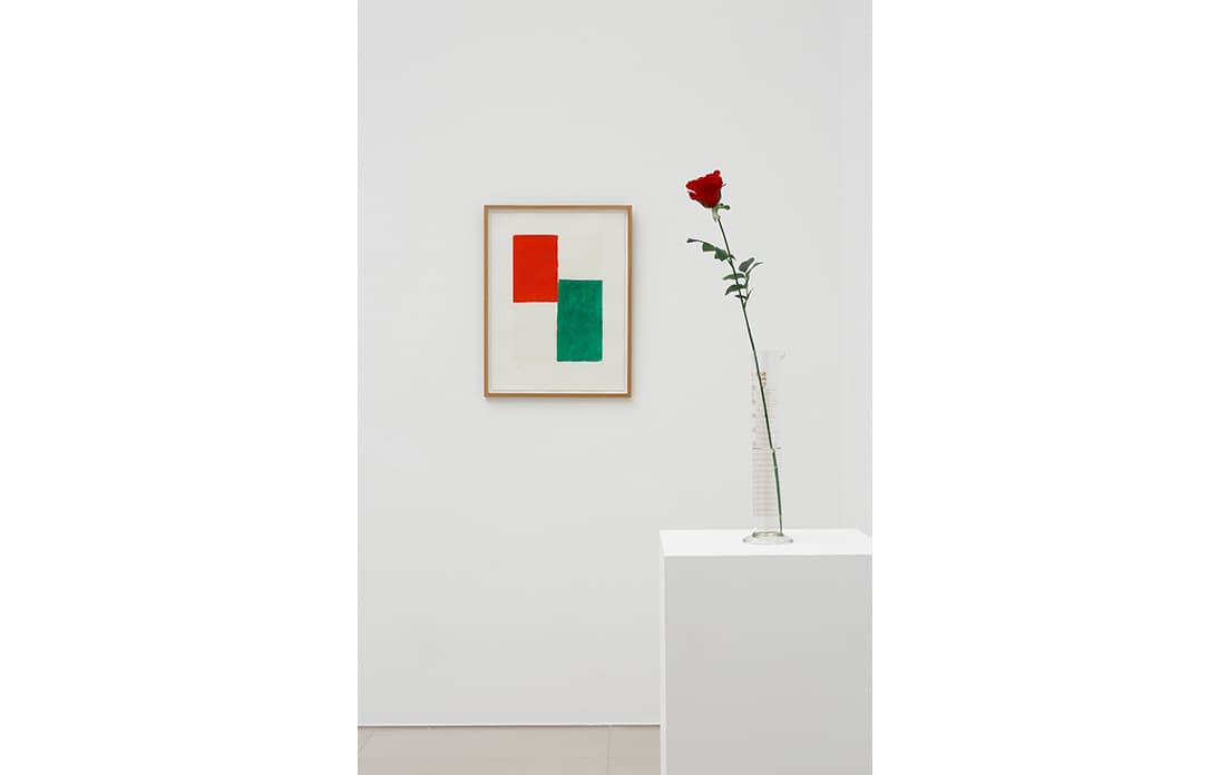 2人の作品を並べて観ることで、彼らに共通の芸術理念が見えてくる。右：ヨーゼフ・ボイス《直接民主制の為のバラ》1973年　左：ブリンキー・パレルモ《無題》1974年 〈gigei10〉蔵 VG Bild-Kunst, Bonn &amp; JASPAR, Tokyo, 2021 E4044