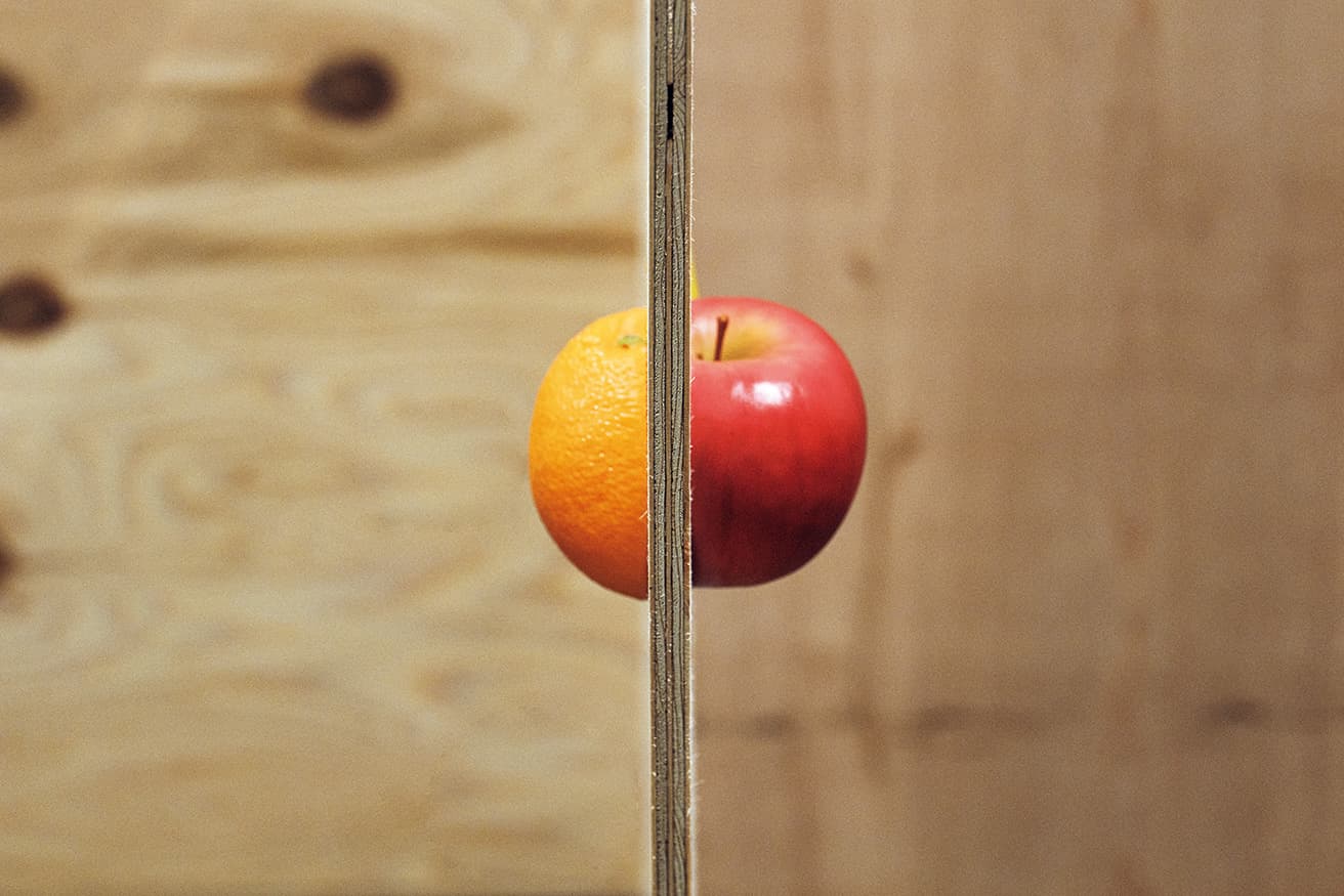 子どもの目線の高さにある展示。それぞれの果物の横には「はんたいがわはなんだとおもう？」。