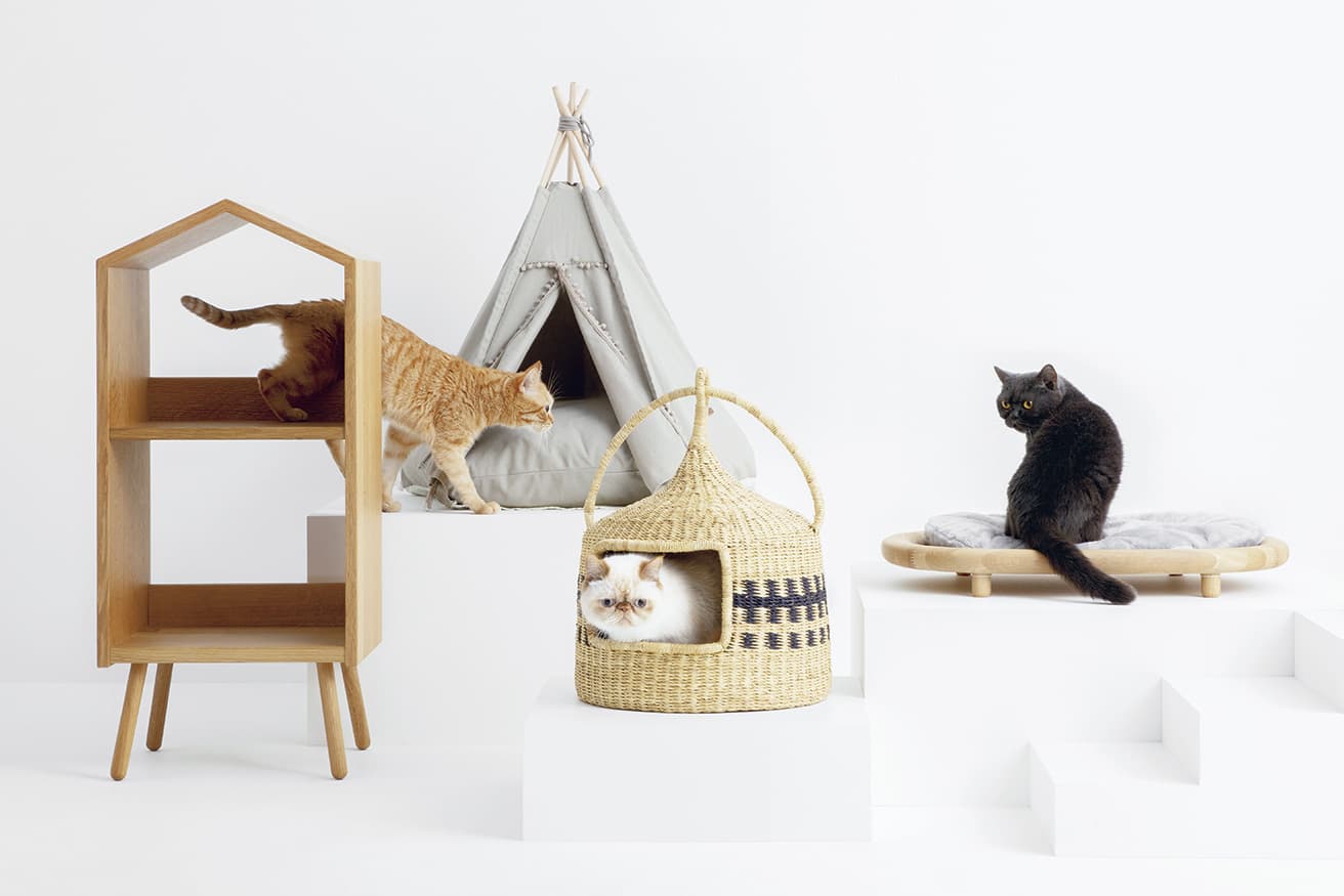（左から）
飛驒産業／森のペット家具 ネコハウス
多頭飼いにもうれしい2段式。裏板がないので背面から光が入り、日向ぼっこもしやすい。W42×D35×H94cm 85,800円（HIDA 東京神谷町店 TEL 0120 606 503）。

monchéri／クッション付テントハウス
テントの中にはふかふかのクッションが敷かれている。猫がほっと安らげる場所になるはず。W75×D75×H70cm 10,780円（monchéri TEL 03 6869 8664）。

ガーナ産 手編み猫ちぐら
ガーナ・ボルガ地方の伝統的手法で、強度が高いエレファントグラスを編み込んでいる。W40×D40×H52cm 34,800円（猫ノ途中 公式サイト）。

KARIMOKU CAT／カリモクキャットベッド
無垢のオーク材を削り出したフレームの上に、肌ざわりのいいふわふわのクッションが。W66×D48×H10.5cm 32,780円（カリモクキャット TEL 0570 028 562）。