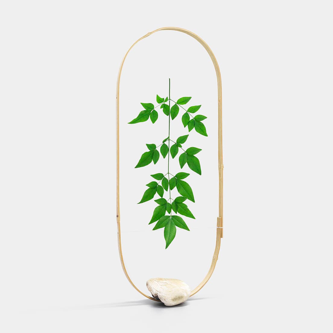 《Botanical Composition》