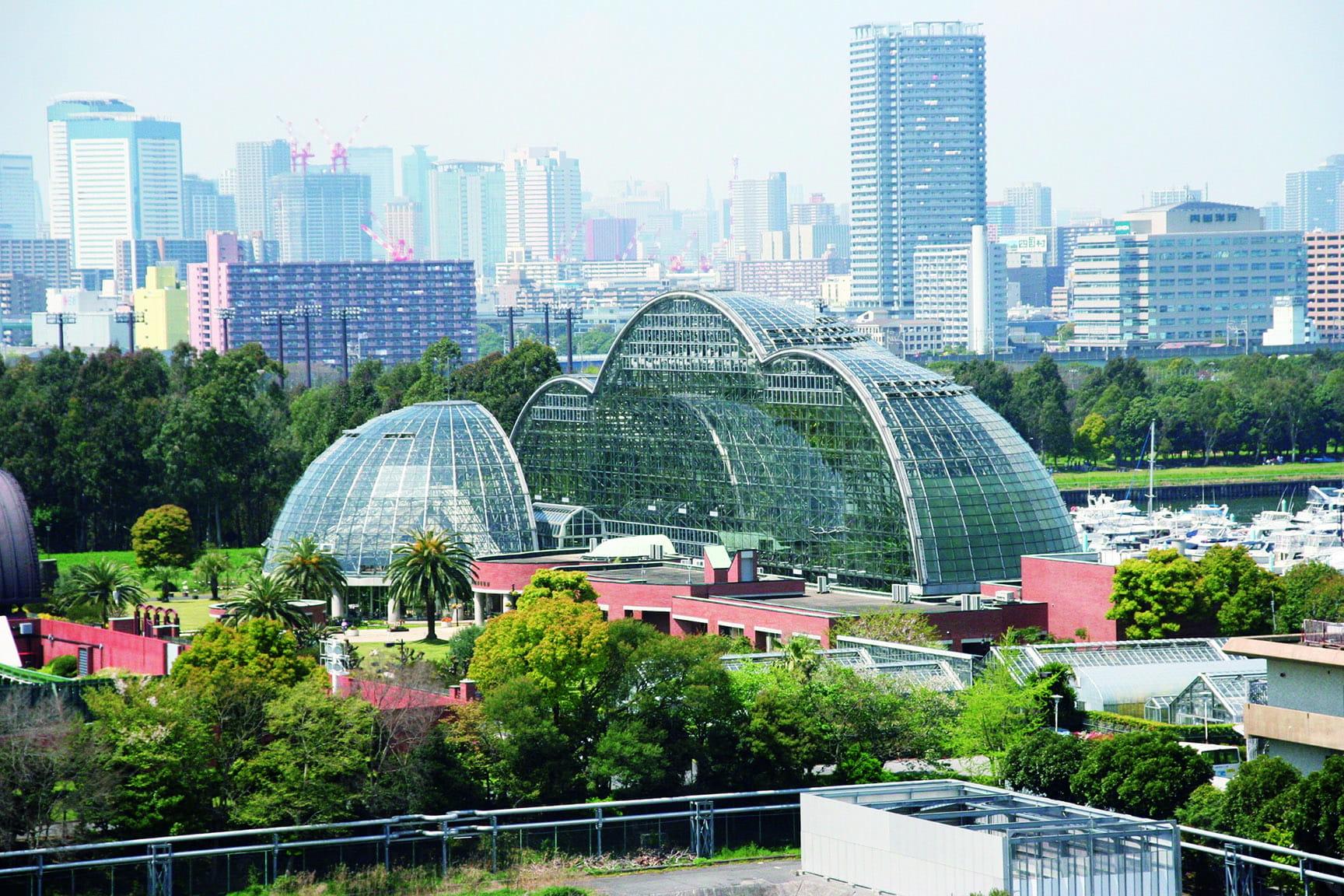 東京都夢の島熱帯植物館 | カーサ ブルータス Casa BRUTUS