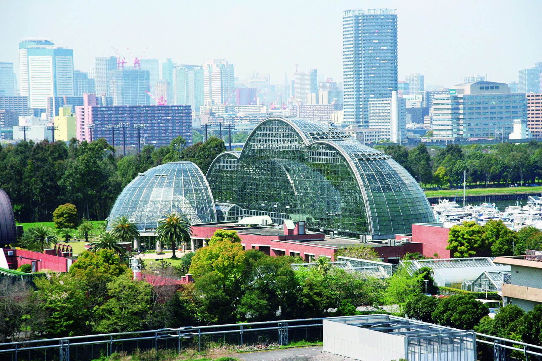 東京都夢の島熱帯植物館
