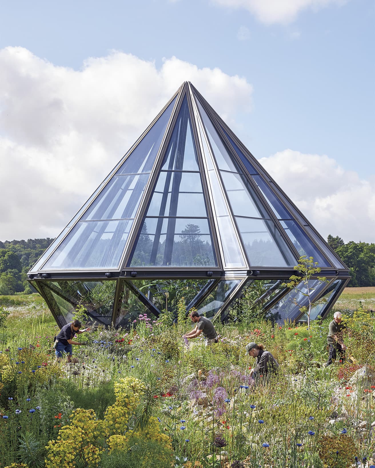 シルクロード沿い12の地区に自生する約300種の草花を植栽。photo_Raquel Diniz Heatherwick Studio