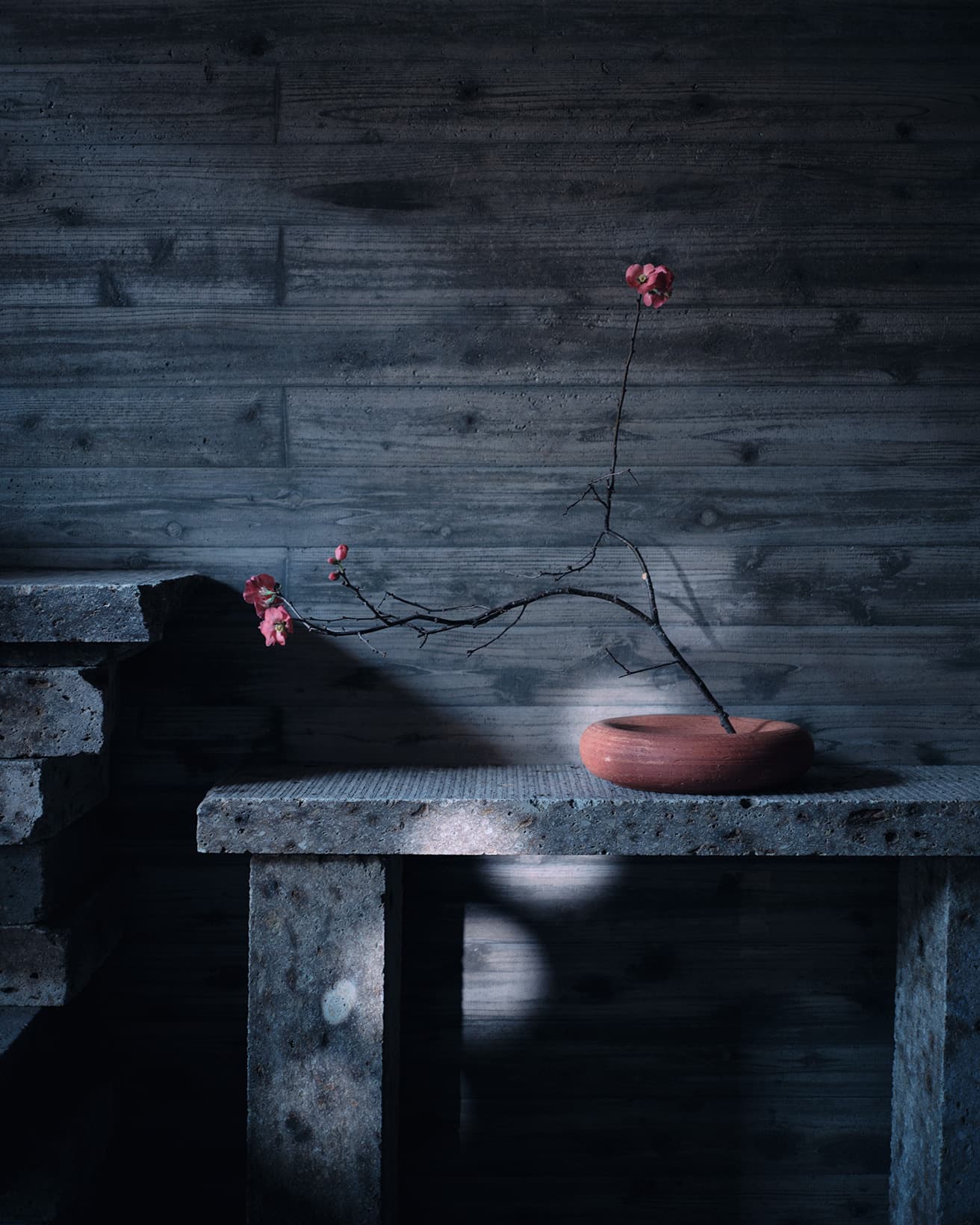 【今週の花と器】木瓜（ボケ）と〈オリジンメイド〉の《ソルトベース》｜2月