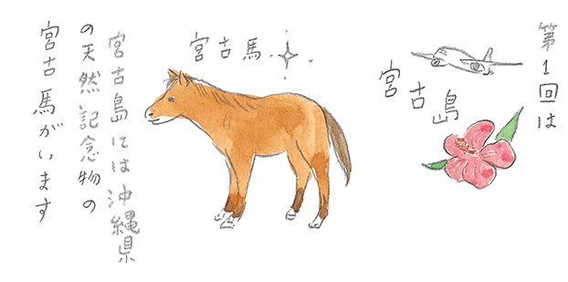 第1回 宮古馬をたずねて - 1/3