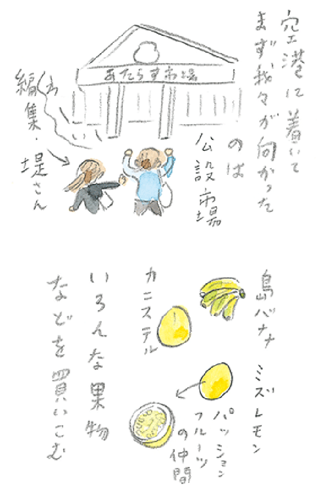 第1回 宮古馬をたずねて - 2/3