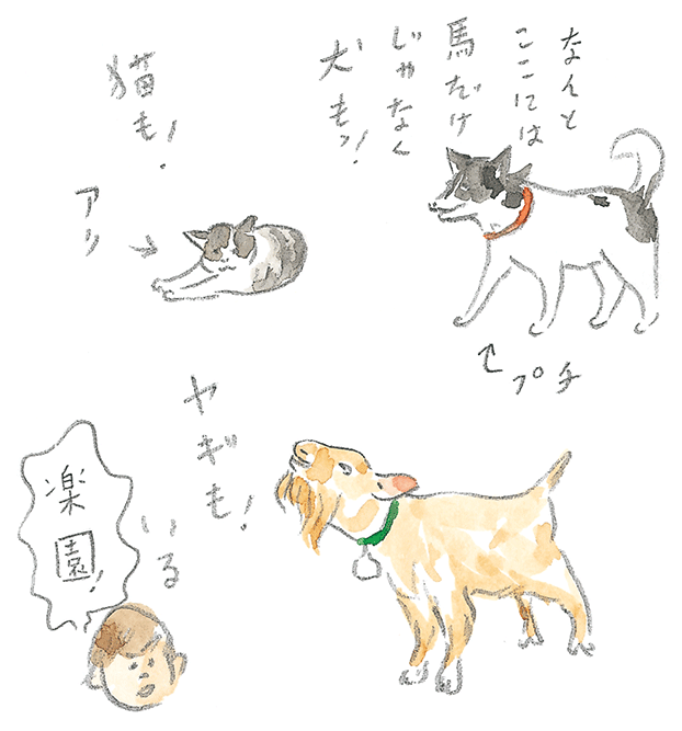 第1回 宮古馬をたずねて - 1/3