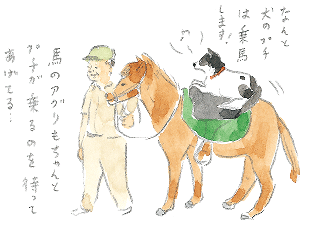 第1回 宮古馬をたずねて - 2/3