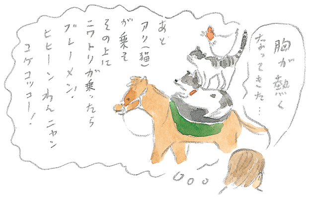 第1回 宮古馬をたずねて - 3/3