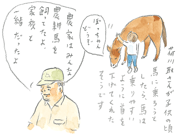 第1回 宮古馬をたずねて - 3/3