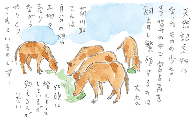 第1回 宮古馬をたずねて - 2/3