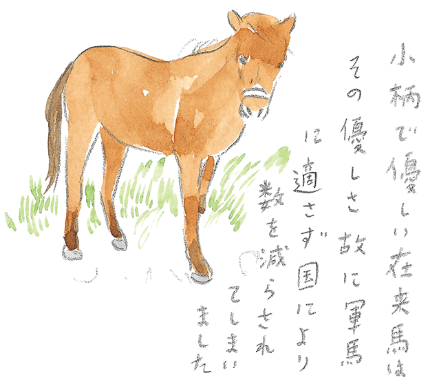 第1回 宮古馬をたずねて - 3/3