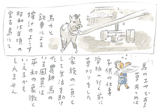 第1回 宮古馬をたずねて - 1/3