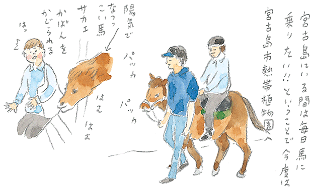 第1回 宮古馬をたずねて - 1/3