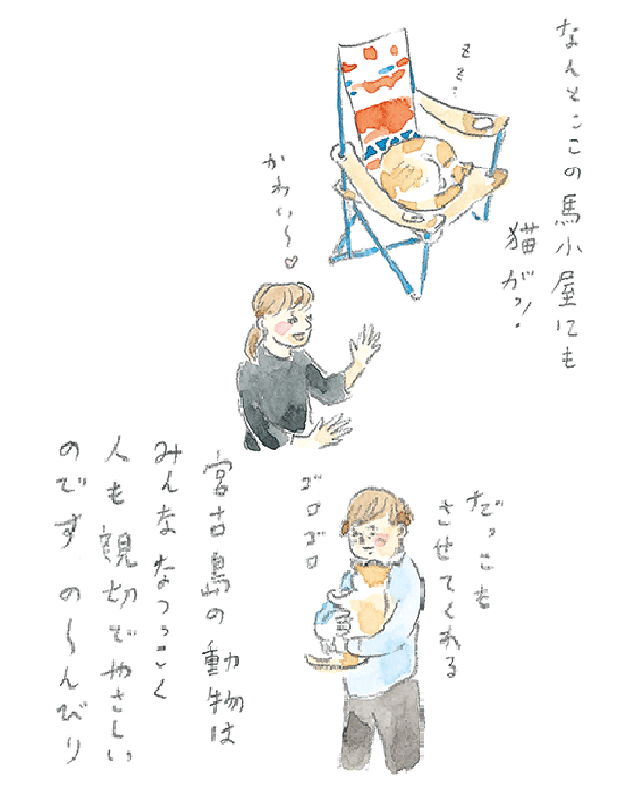 第1回 宮古馬をたずねて - 2/3