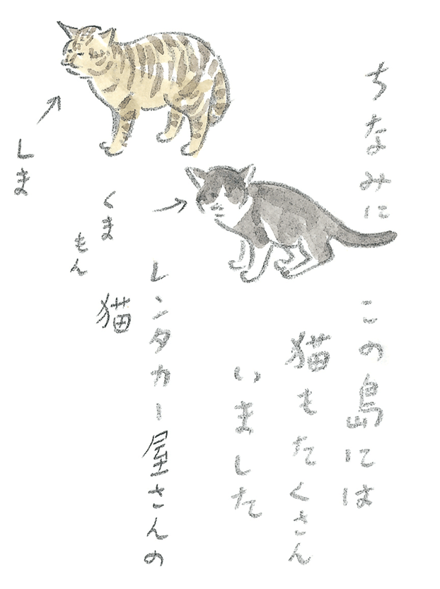 第3回  ヨナグニウマで島を満喫 - 1/3