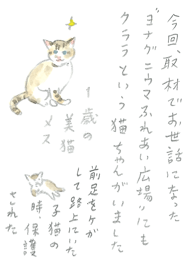 第3回  ヨナグニウマで島を満喫 - 2/3