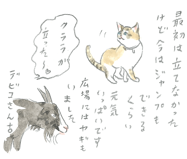 第3回  ヨナグニウマで島を満喫 - 3/3
