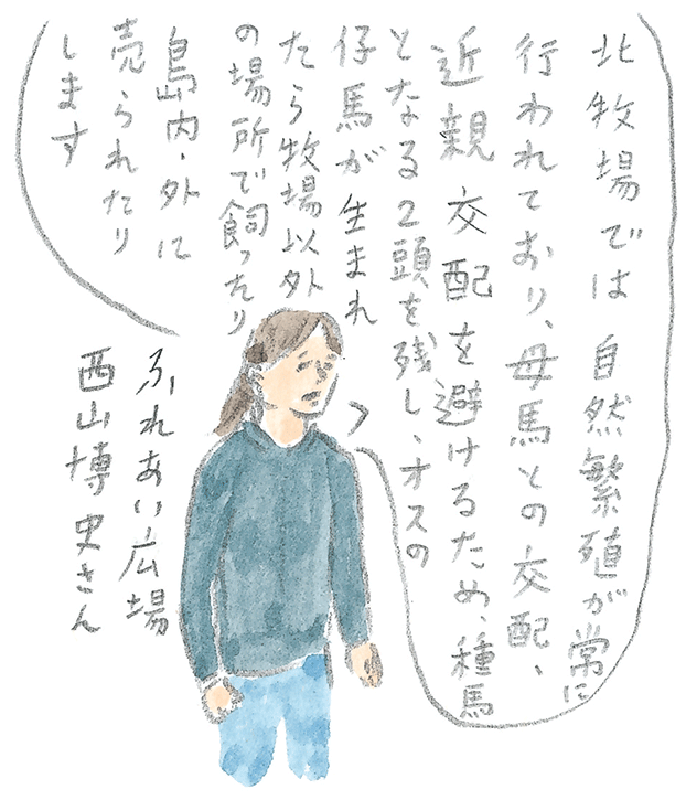 第3回  ヨナグニウマで島を満喫 - 2/3