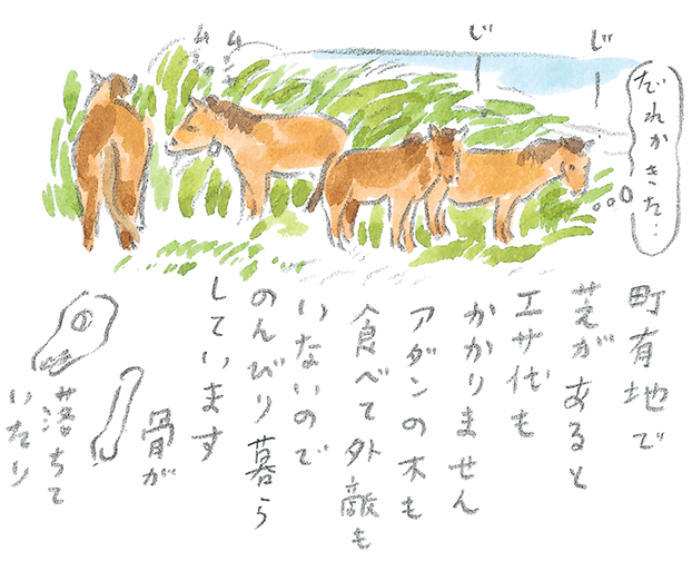 第3回  ヨナグニウマで島を満喫 - 1/3