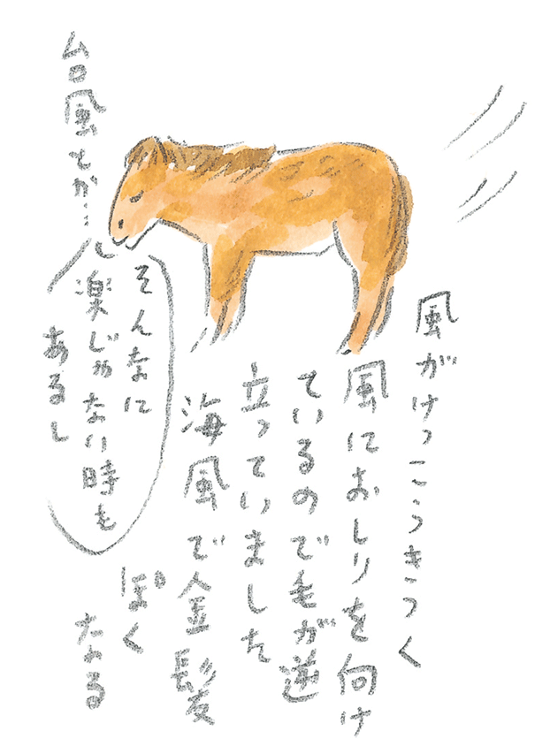 第3回  ヨナグニウマで島を満喫 - 2/3