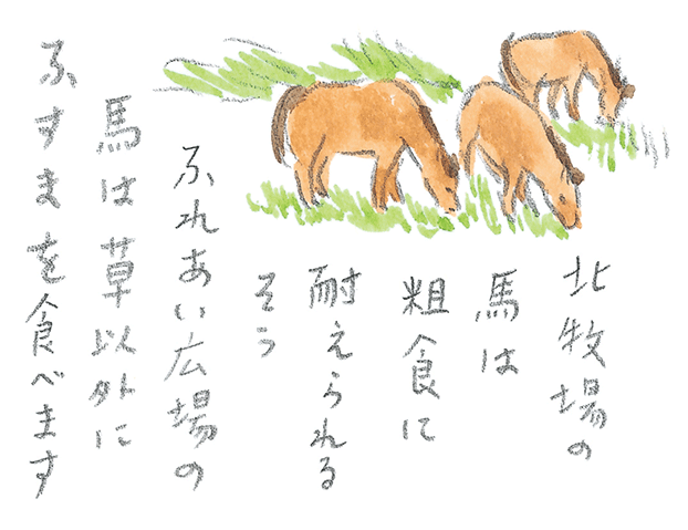 第3回  ヨナグニウマで島を満喫 - 1/3