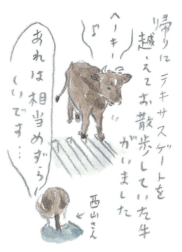 第3回  ヨナグニウマで島を満喫 - 2/3