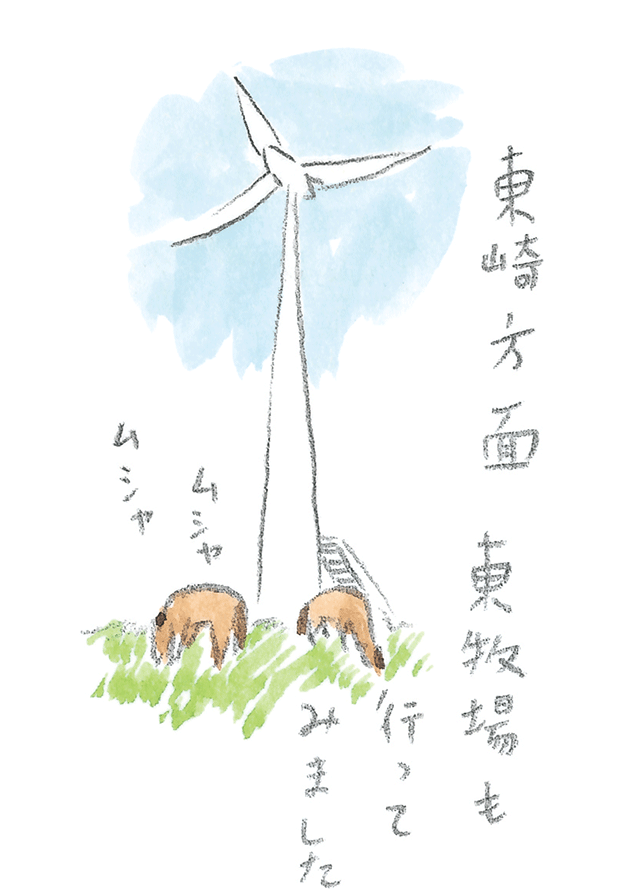 第3回  ヨナグニウマで島を満喫 - 3/3
