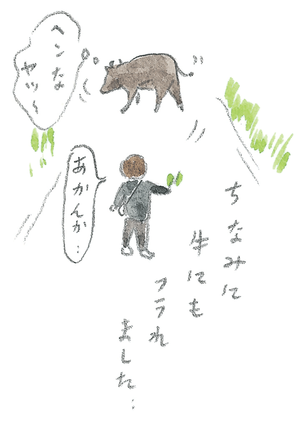 第3回  ヨナグニウマで島を満喫 - 2/3