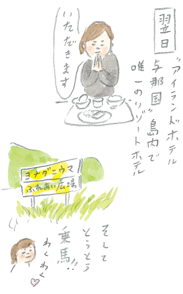 第3回  ヨナグニウマで島を満喫 - 3/3