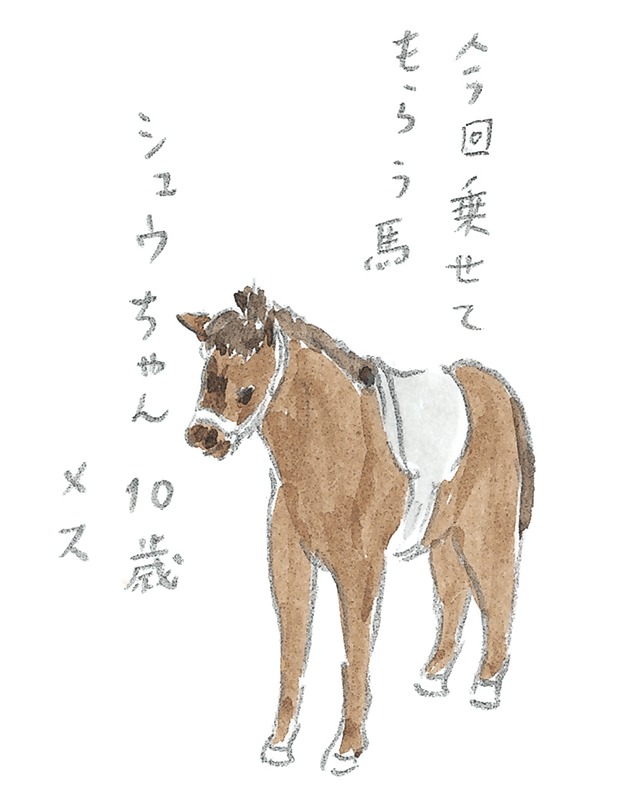 第3回  ヨナグニウマで島を満喫 - 2/3