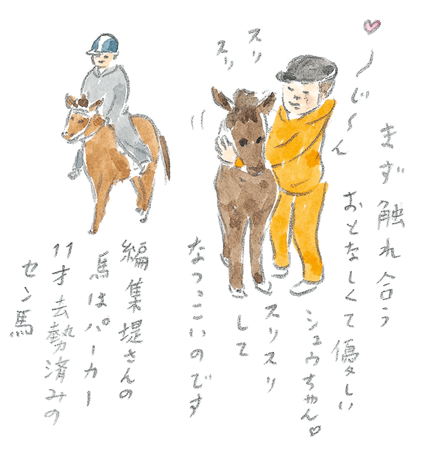 第3回  ヨナグニウマで島を満喫 - 3/3