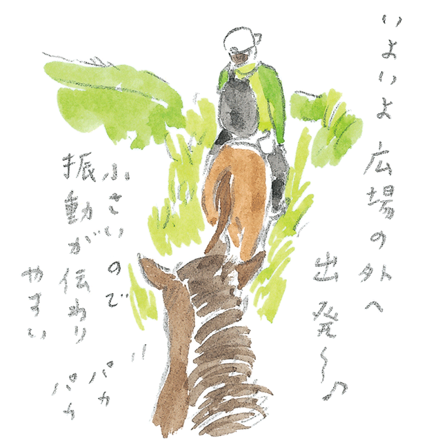 第3回  ヨナグニウマで島を満喫 - 2/3