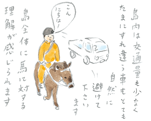 第3回  ヨナグニウマで島を満喫 - 3/3