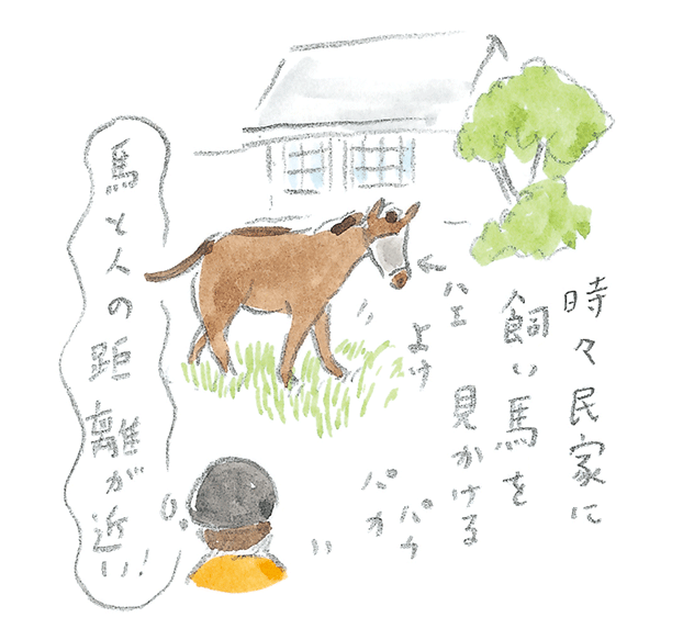 第3回  ヨナグニウマで島を満喫 - 1/3