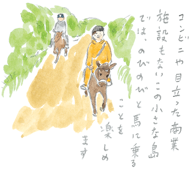 第3回  ヨナグニウマで島を満喫 - 3/3